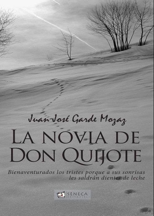 Portada del libro La novia de Don Quijote de Juan José Garde